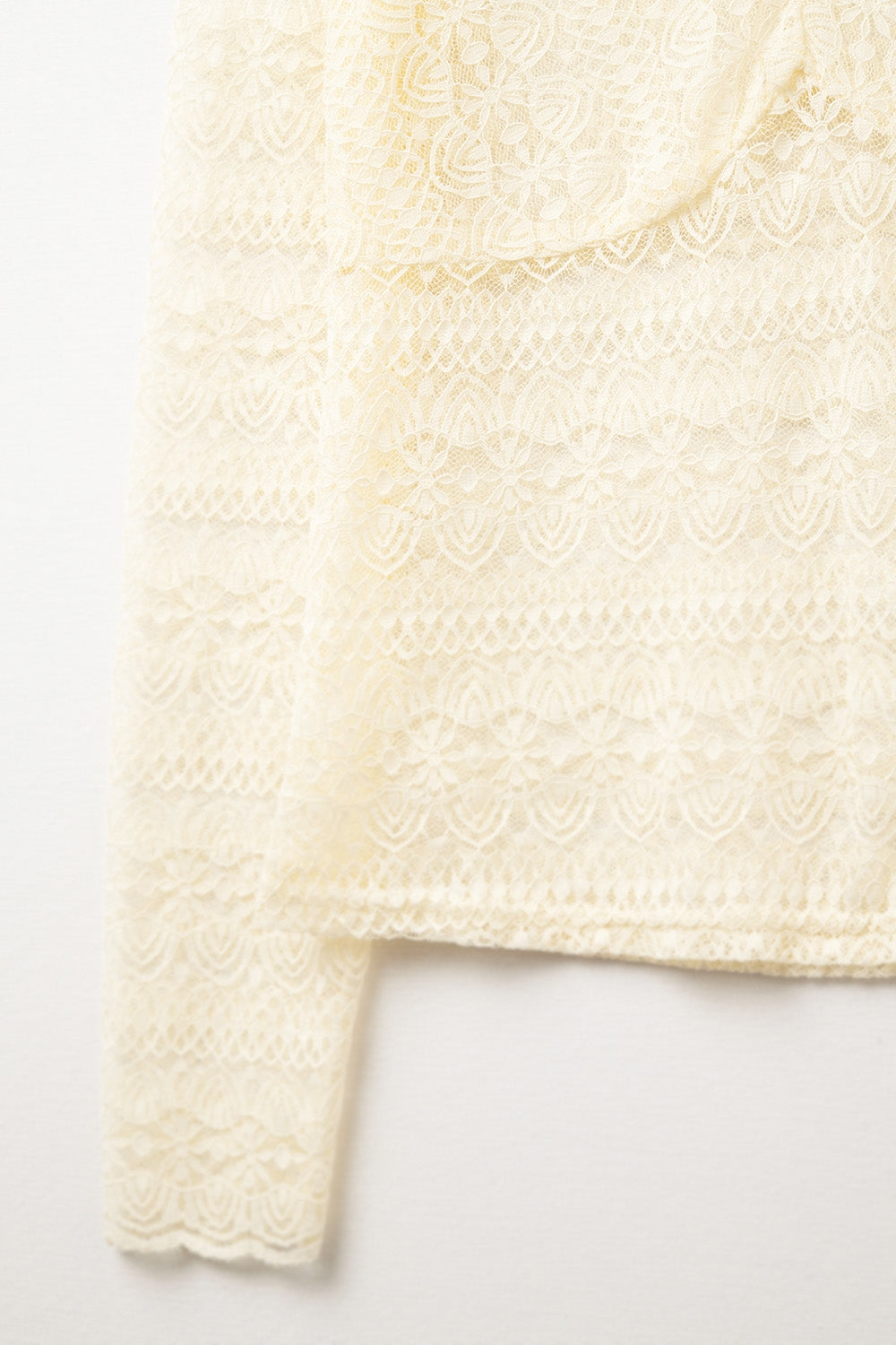 Blusa Romântica de Renda com Decote em V e Mangas Compridas em Bege