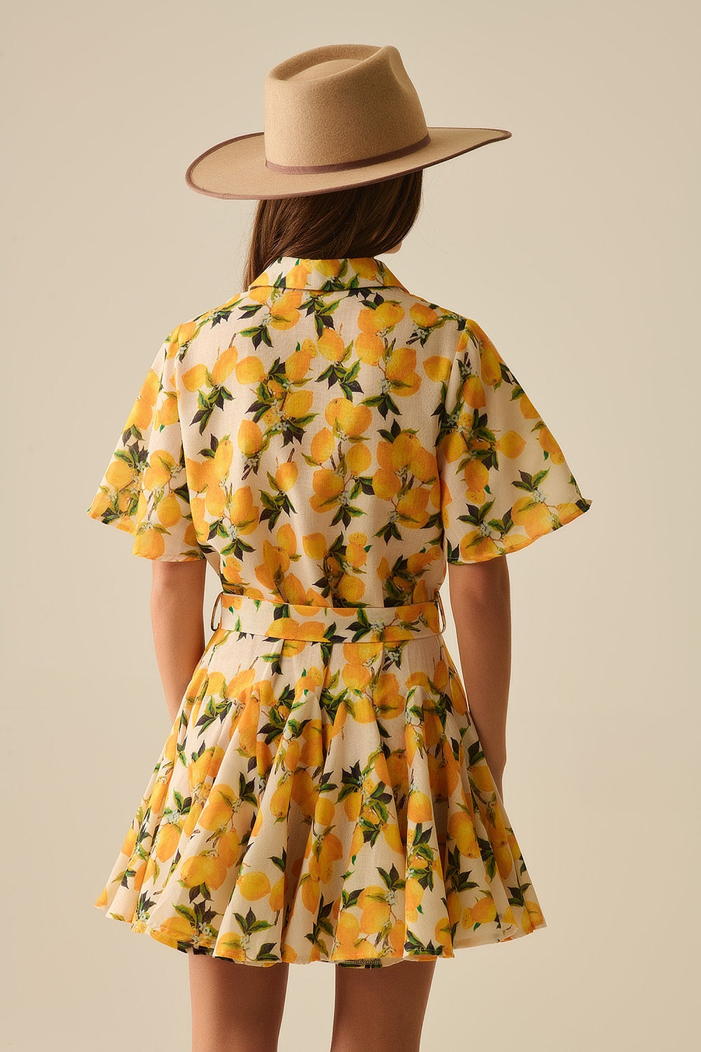 Vestido romântico com cintura e estampa de limão e mangas curtas
