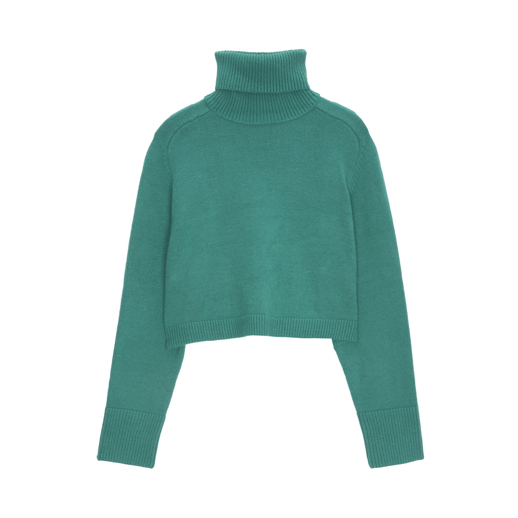 Camisola de pescoço alto cropped em verde