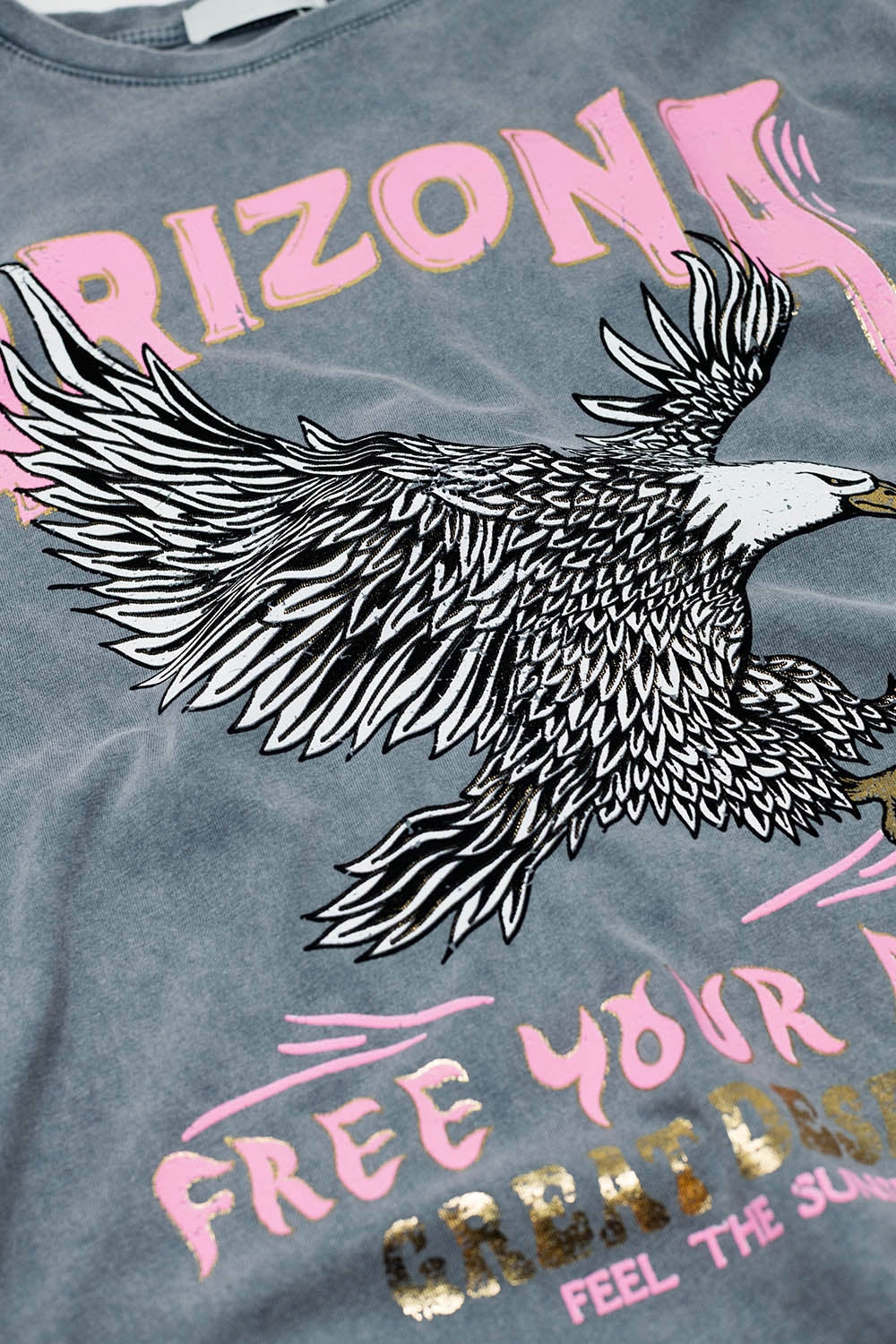 T-shirt Arizona com estampado digital Eagle em cinzento